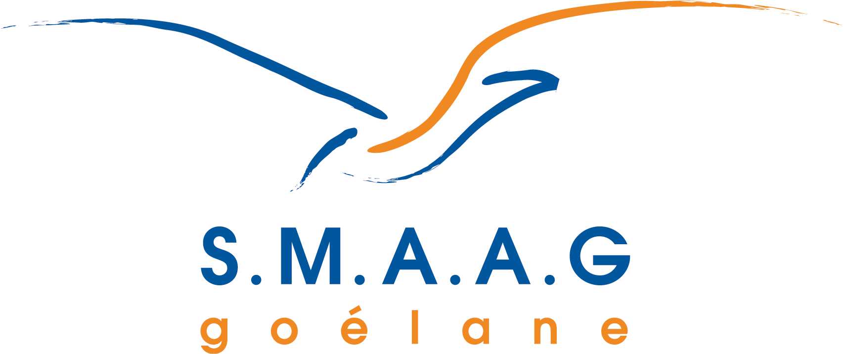 logo SMAAG